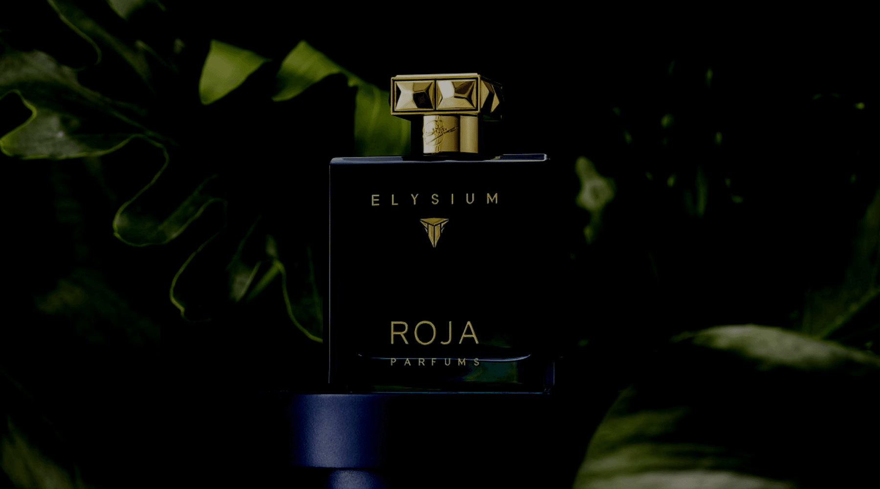 Roja Parfums - Beauté - Your Beauty Boutique Online ♥