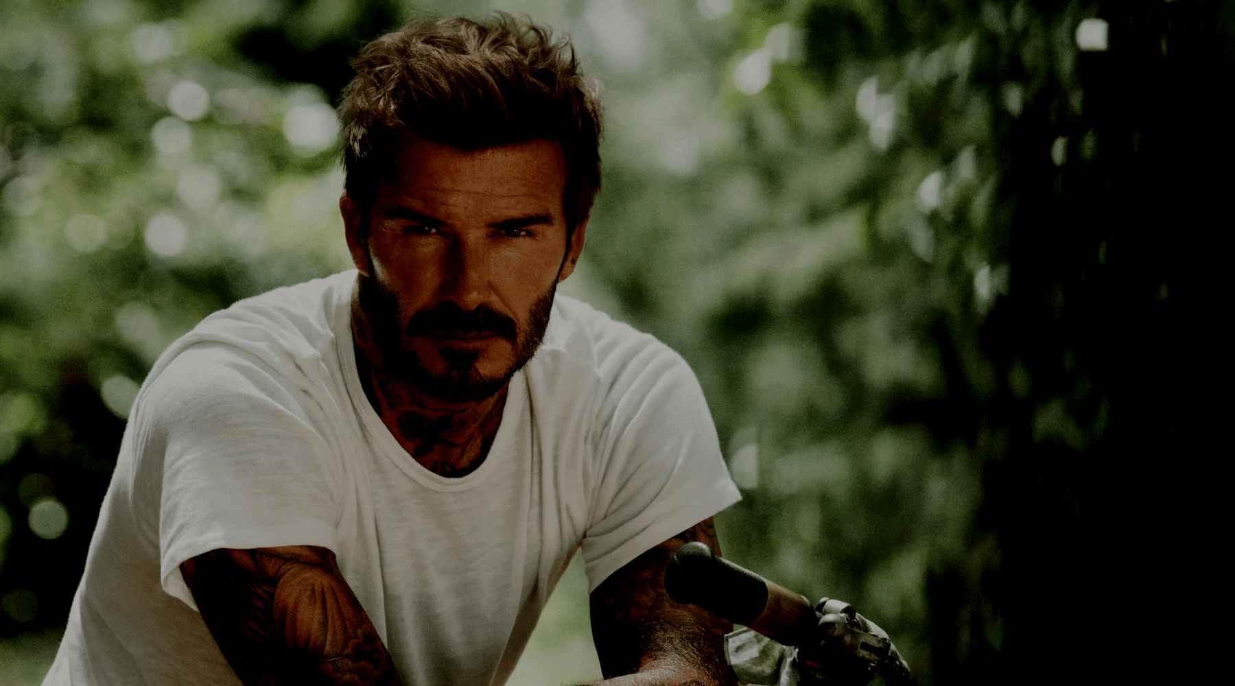 David Beckham - Beauté - Your Beauty Boutique Online ♥